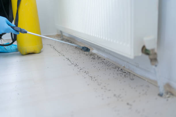 Pest Prevention Services in Tuckahoe, VA